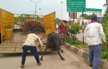  भिलाई निगम क्षेत्र में चलाया जा रहा है रोका छेका अभियान