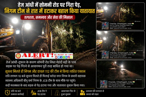  तेज आंधी से सोमनी रोड पर गिरा विशाल पेड़, निगम टीम ने रात में पहुंचकर बहाल किया यातायात