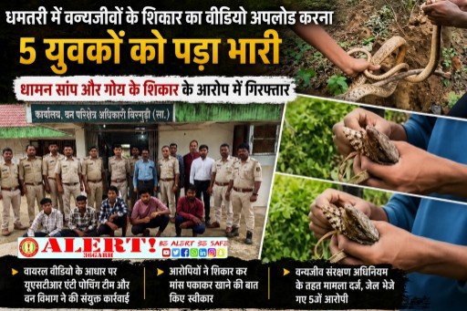 सोशल मीडिया पर शिकार का वीडियो डालना पड़ा महंगा: धमतरी में धामन सांप और गोह के शिकार मामले में 5 युवक गिरफ्तार